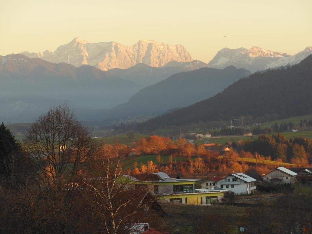 Parkhotel Tannenhof Oy-Mittelberg Exteriör bild
